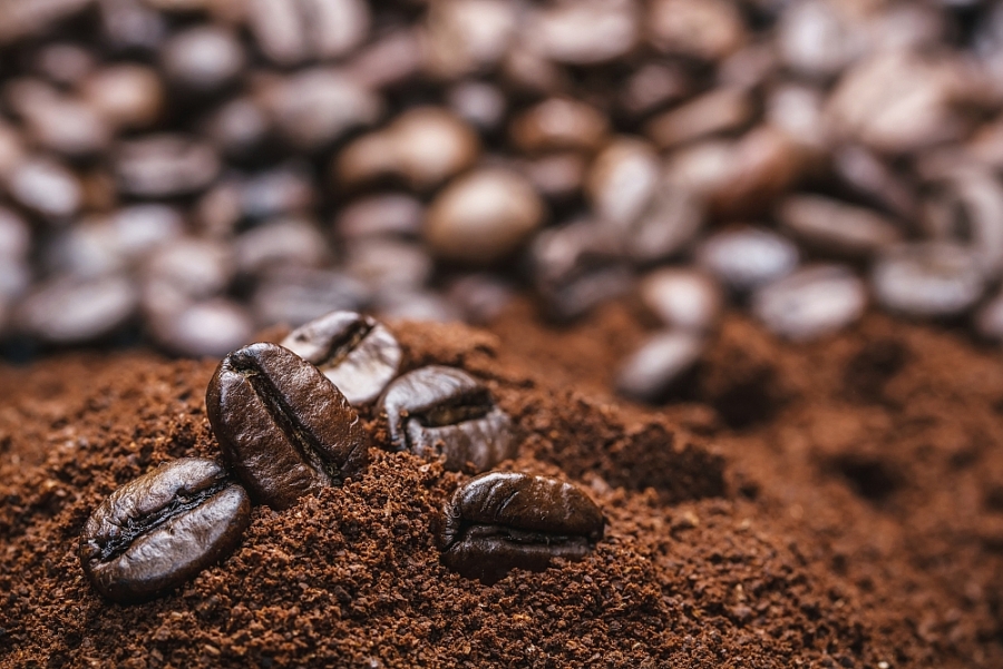 Xuất khẩu cà phê 9 tháng năm 2022 đạt 3,07 tỷ USD
