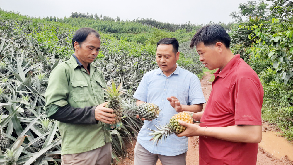 Bắc Giang: Giúp nông dân Lục Nam tiêu thụ nông sản trực tuyến