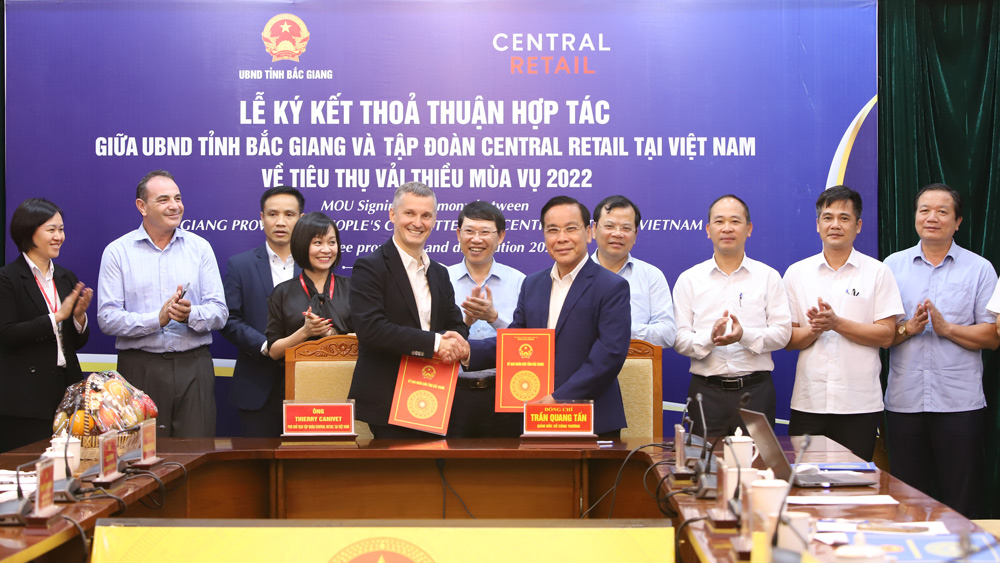 Bắc Giang: Tập đoàn Central Retail dự kiến tiêu thụ 1.000 tấn vải thiều 