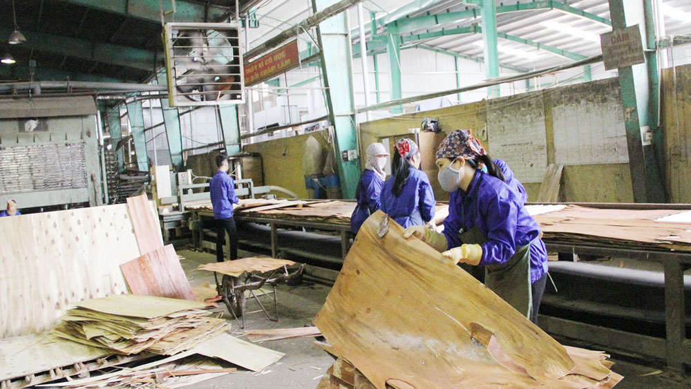 Bắc Giang: Tập trung phát triển công nghiệp chế biến, xuất khẩu lâm sản
