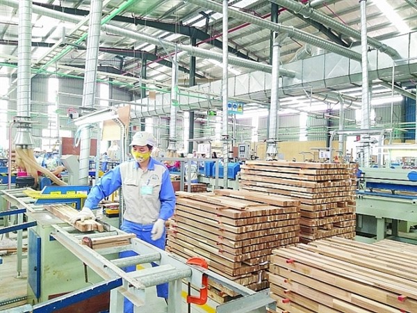 5 hiệp hội bắt tay để xuất khẩu gỗ bền vững