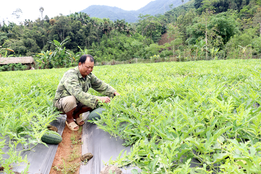 Hà Giang: Quang Bình nâng cao giá trị sản xuất nông nghiệp