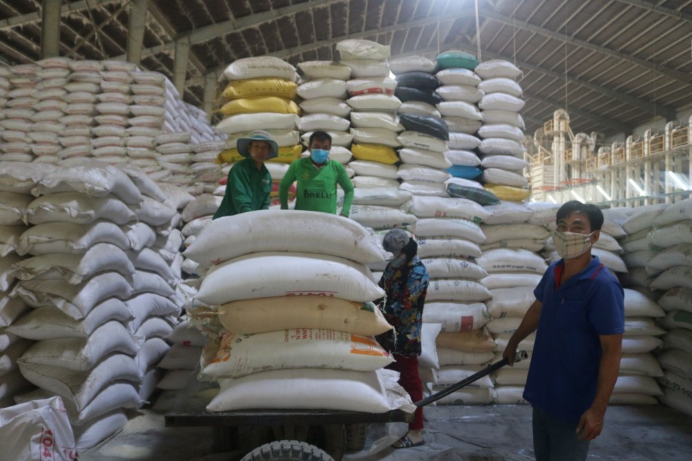 Cơ hội nào cho xuất khẩu gạo trong cuộc khủng hoảng lương thực toàn cầu?