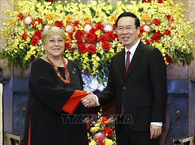 Củng cố quan hệ hợp tác giữa nhân dân hai nước Việt Nam - Chile