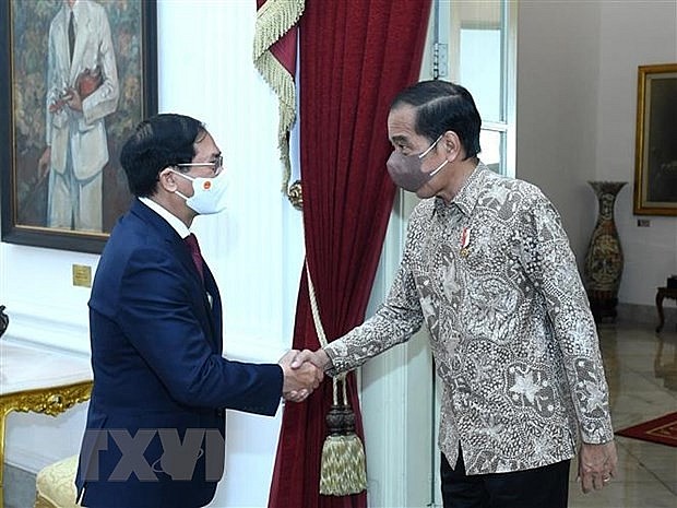 Thúc đẩy mạnh mẽ quan hệ Đối tác chiến lược Việt Nam - Indonesia