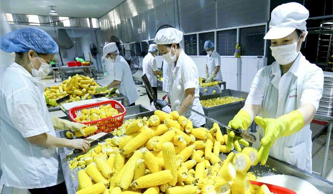 Giải pháp xuất khẩu nông sản Việt Nam sang EU dưới tác động của Hiệp định EVFTA
