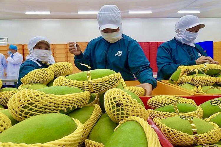 Xuất khẩu rau củ hướng đến 4 tỷ USD