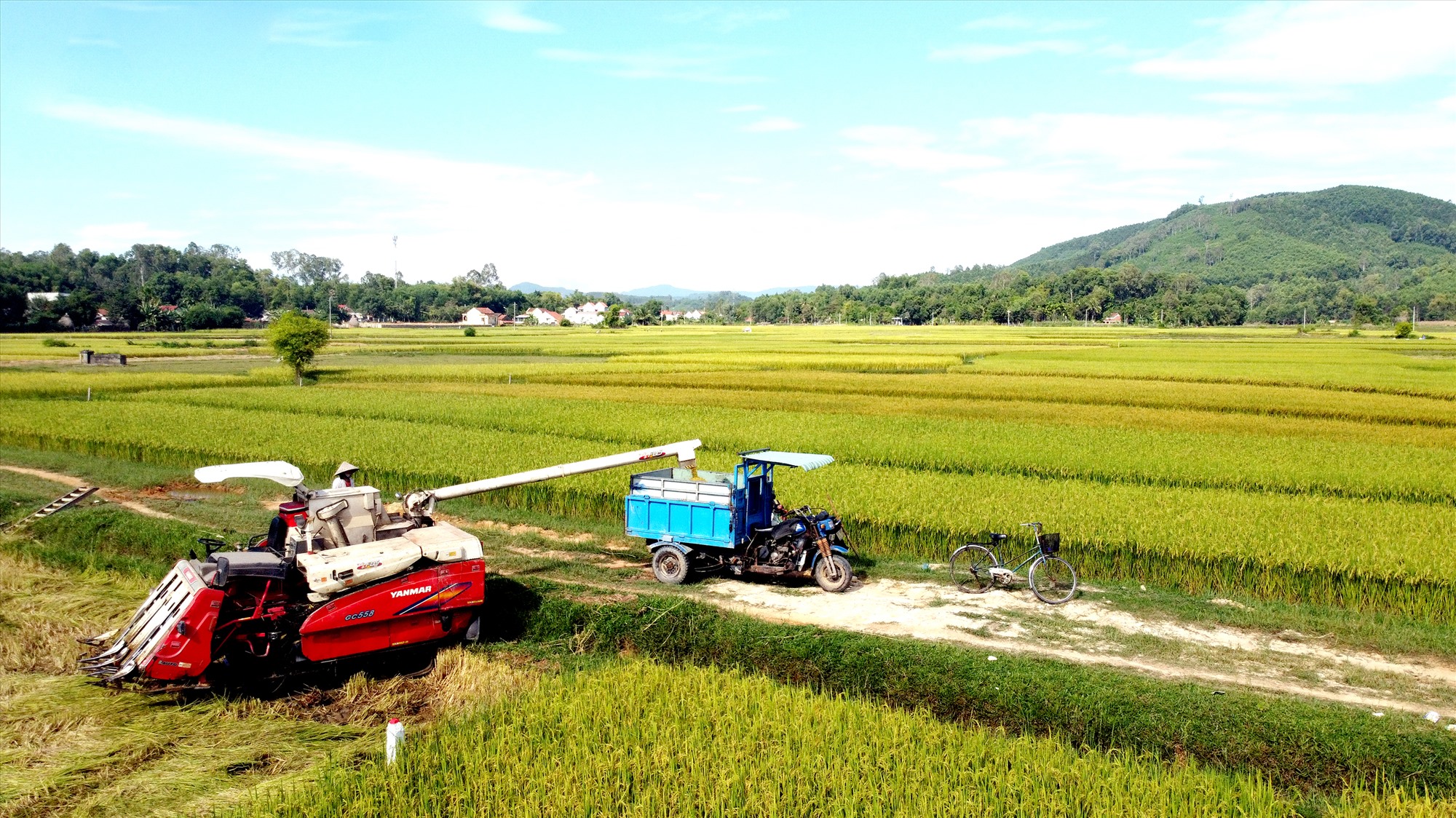 Quảng Nam: Thay đổi ''phong cách'' sản xuất nông nghiệp