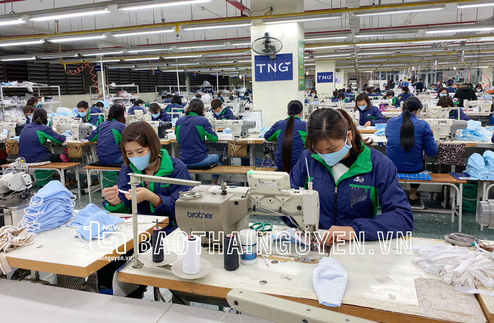 Thái Nguyên: Công ty CP Đầu tư và Thương mại TNG - Doanh thu tiêu thụ đạt 666 tỷ đồng