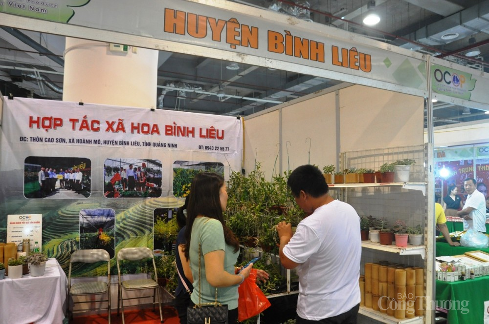 Quảng Ninh: Sắp diễn ra Hội chợ OCOP Quảng Ninh - Đông 2022