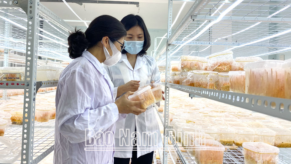 Nam Định: Góp phần nâng cao năng lực cạnh tranh của tỉnh