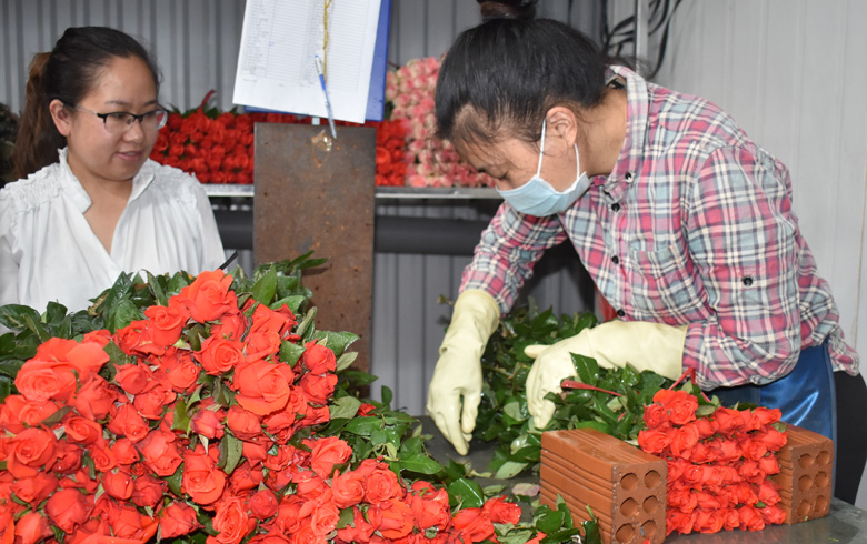 Lâm Đồng: Để tăng thu nhập từ nghề truyền thống