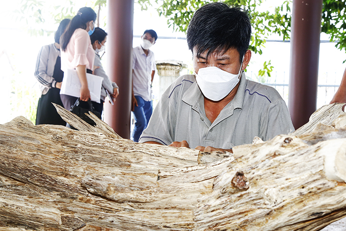 Khánh Hòa: Phát triển ngành nghề nông thôn - Nâng cao chất lượng các nghề sẵn có