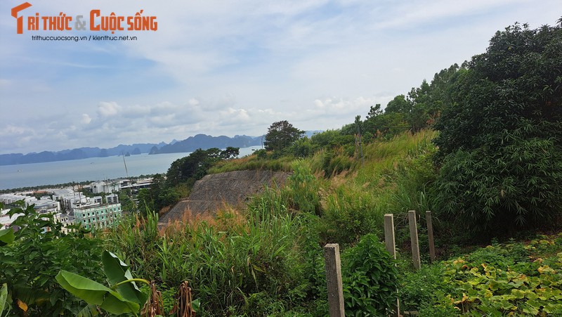 Quảng Ninh: Khách sạn Hạ Long View 20 năm nằm trên giấy, gây lãng phí đất