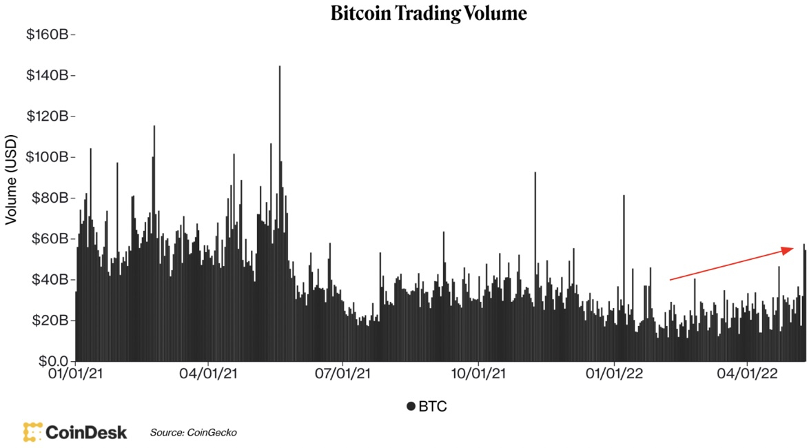 Giá Bitcoin hôm nay 12/5: Thị trường tiếp tục giảm sâu