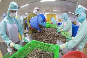 Việt Nam tham gia Diễn đàn Thủy hải sản Venezuela