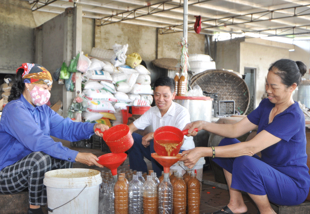 Thái Nguyên: Phú Bình - 11 sản phẩm đăng ký tham gia chu trình OCOP