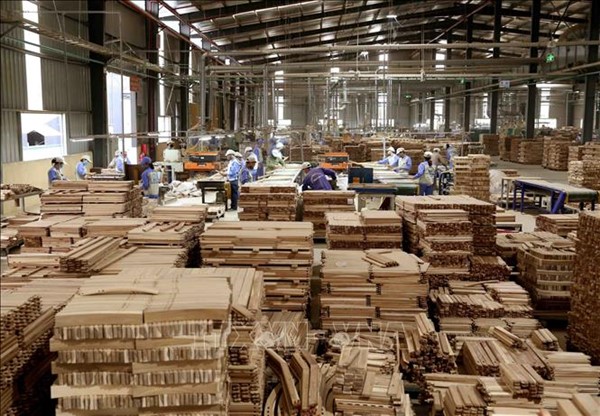 Xuất khẩu gỗ: Đa dạng thị trường để giảm rủi ro 
