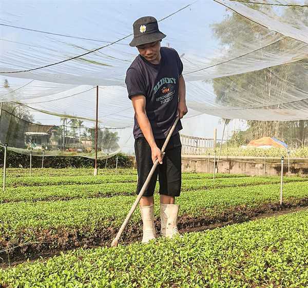 Mô hình nông nghiệp công nghệ cao nào cho năm 2017  GlobalGAP Thực  hành tốt nông nghiệp toàn cầu  GlobalGAP Việt Nam